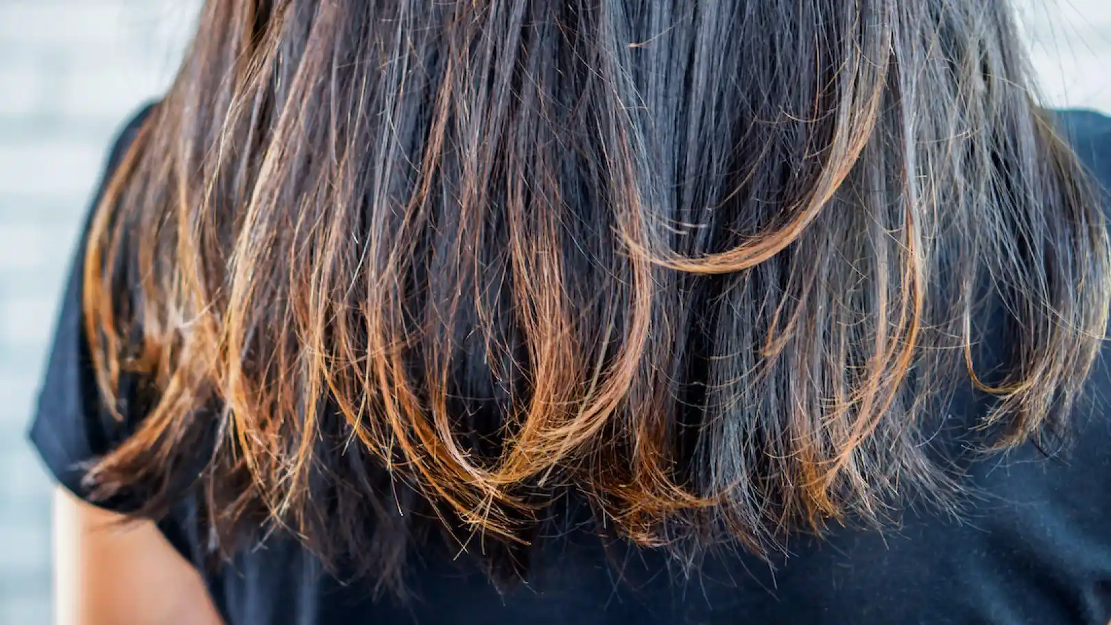 Revive Damaged Hair: Top Shampoo Choices for Split Ends